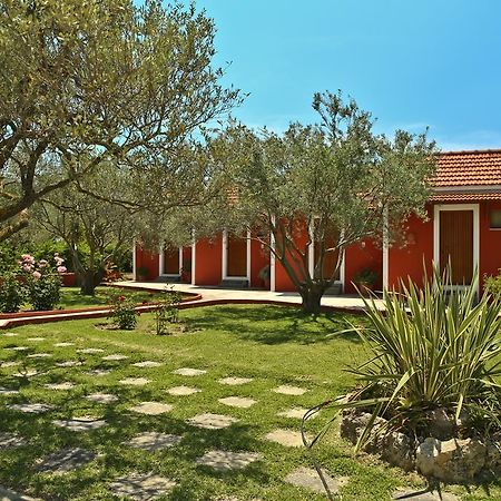 Dendrolivano Minia Exterior foto
